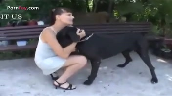 โม๊กควยหมา อมควยหมา หมาเย็ดฝรั่ง