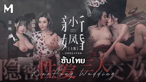 แอบเย็ด แตกคาอก เอวีจีนซับไทย